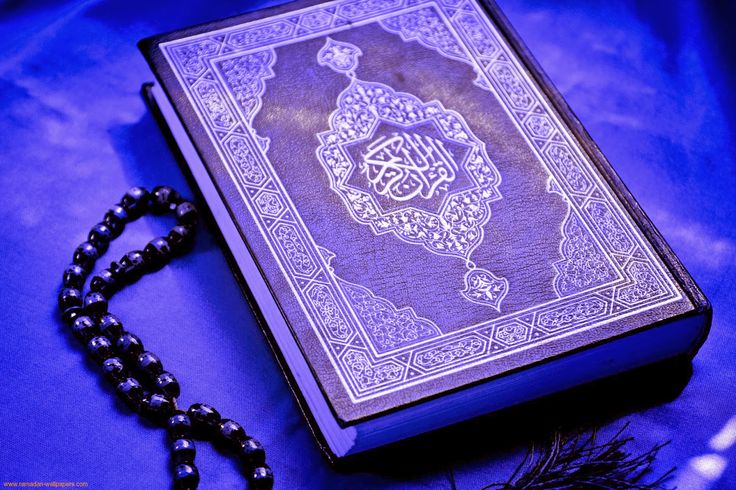 Wisdom of the Quran: Exploring the Spiritual Depths